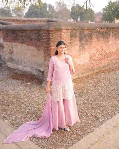 Blush Pink Embroidered Kurta Palazzo Set with Dupatta | MX 146A