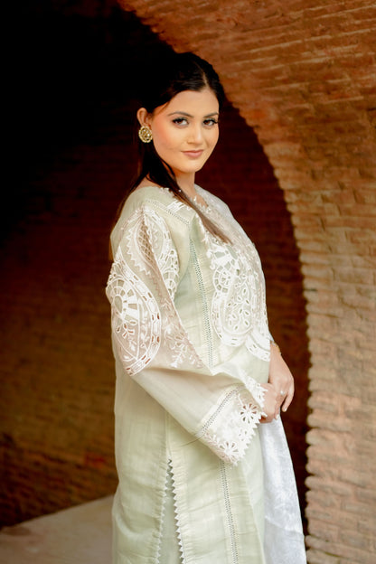 Pastel Green Embroidered Suit Set HM 117E