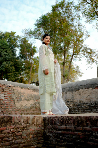 Pastel Green Embroidered Suit Set HM 117E