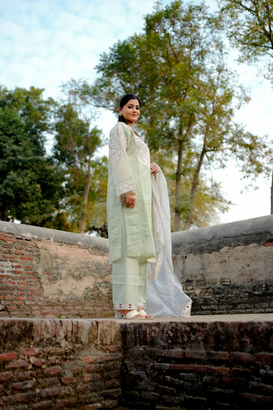 Pastel Green Embroidered Suit Set HM 117E